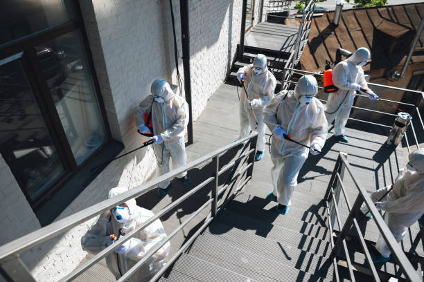 Best Mold Odor Removal Services  in New Kensington, PA